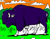 Desenho Búfalo pintado por vini