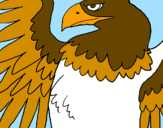 Desenho Águia Imperial Romana pintado por wittmann