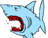 Desenho Tubarão pintado por robson