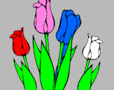 Desenho Tulipa pintado por debora