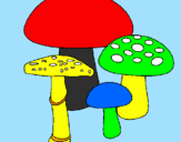 Desenho Cogumelos pintado por lucas1