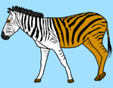 Desenho Zebra pintado por Gabriel