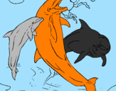 Desenho Golfinhos a brincar pintado por joao victor