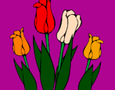 Desenho Tulipa pintado por Tchuca