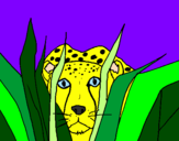 Desenho Guepardo pintado por tigresa