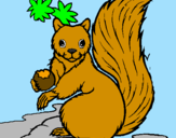 Desenho Esquilo pintado por danizinha