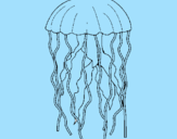 Desenho Medusa pintado por Marcia