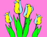 Desenho Tulipa pintado por ana clara