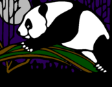 Desenho Urso panda a comer pintado por R@phinh@