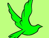 Desenho Pomba da paz a voar pintado por sabrina