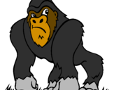 Desenho Gorila pintado por niccolas