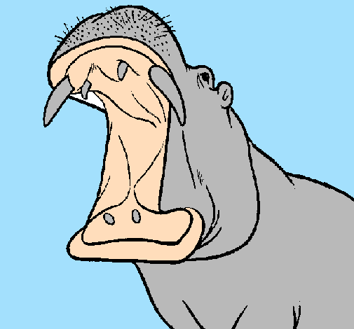 Desenho Hipopótamo com a boca aberta pintado por rafhael matos