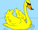 Desenho Cisne na água pintado por larissacn