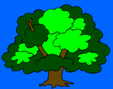 Desenho Árvore pintado por flavio