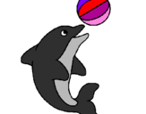 Desenho Golfinho a jogar com uma bola pintado por maria  eugênia