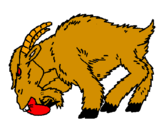 Desenho Cabra aborrecida pintado por rafa