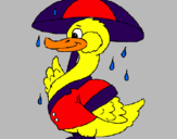 Desenho Pato sob a chuva pintado por audrey