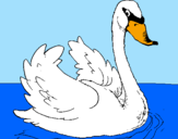Desenho Cisne na água pintado por maria eduarda