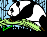 Desenho Urso panda a comer pintado por ana   sofia