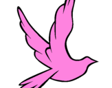 Desenho Pomba da paz a voar pintado por nayara luisa