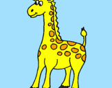 Desenho Girafa pintado por victor