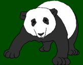 Desenho Urso panda pintado por lucas GUILHERME
