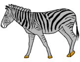 Desenho Zebra pintado por Renata