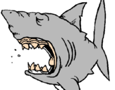 Desenho Tubarão pintado por vitor