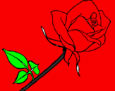Desenho Rosa pintado por luisa