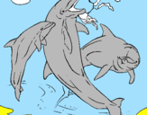 Desenho Golfinhos a brincar pintado por Gabriel Alheio
