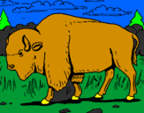 Desenho Búfalo pintado por bisao