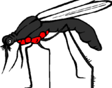 Desenho Mosquito pintado por Zeinner
