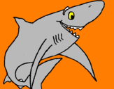 Desenho Tiburão alegre pintado por gil