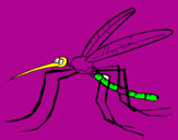 Desenho Mosquito pintado por sarah