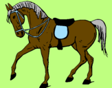 Desenho Cavalo de competição pintado por eu amo hipismo