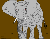 Desenho Elefante pintado por joao