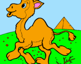 Desenho Camelo pintado por Geovana