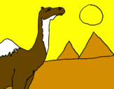 Desenho Camelo pintado por GABRIEL   RIBERO  BORGES