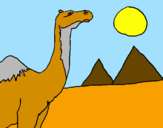 Desenho Camelo pintado por jéssica