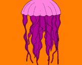 Desenho Medusa pintado por lulu