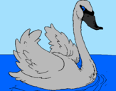 Desenho Cisne na água pintado por Tamires