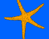 Desenho Estrelita do mar pintado por vinicius