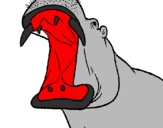 Desenho Hipopótamo com a boca aberta pintado por joão netto
