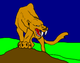 Desenho Tigre com dentes afiados pintado por kol