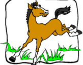 Desenho Cavalo a dar um coice pintado por joão pedro da silva ramos