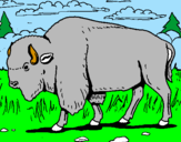 Desenho Búfalo pintado por de  gabriel