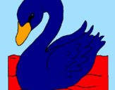 Desenho Cisne pintado por katia