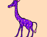 Desenho Girafa pintado por Tata Japinha
