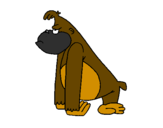 Desenho Macaco aborrecido pintado por luis