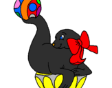 Desenho Foca a jogar à bola pintado por foquinhaa